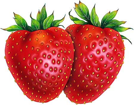 Name:  strawberries (1).jpg
Views: 41
Size:  33.9 KB